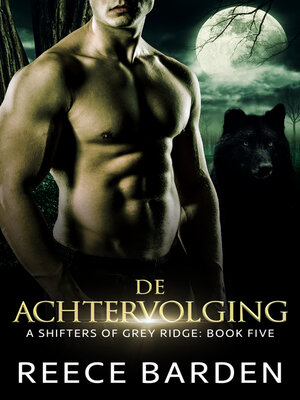 cover image of De Achtervolging